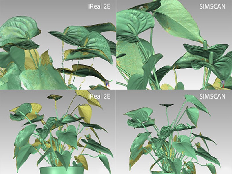 How to Choose a 3D Scanner for Plant Growth and Morphology Analysis?