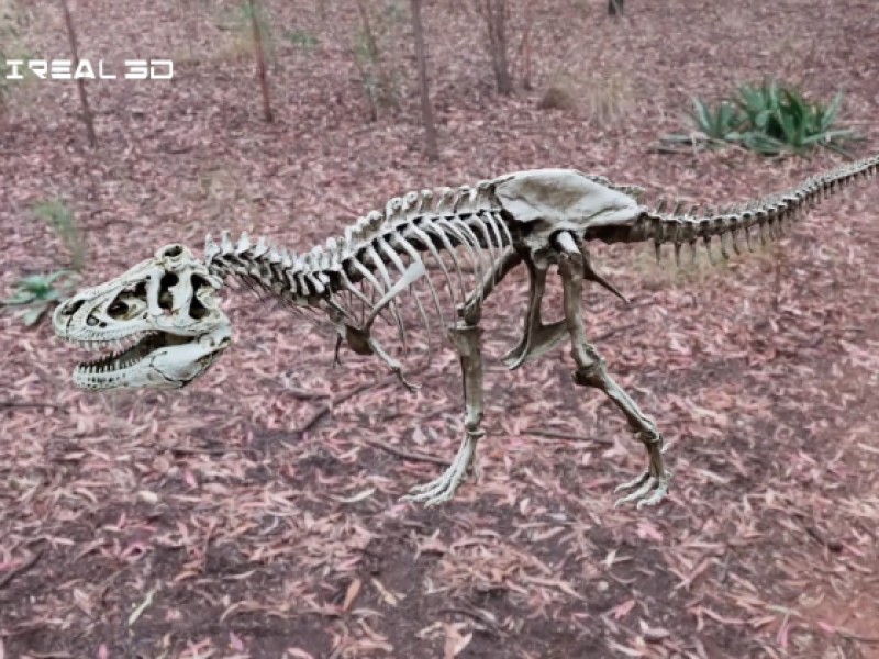 Make Realistic 3D Dinosaur Fossils with iReal 3D Mapping Software