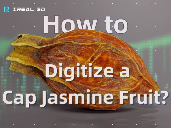 How to 3D Scan and Create Texture for 20 MM Cap Jasmine Fruit?