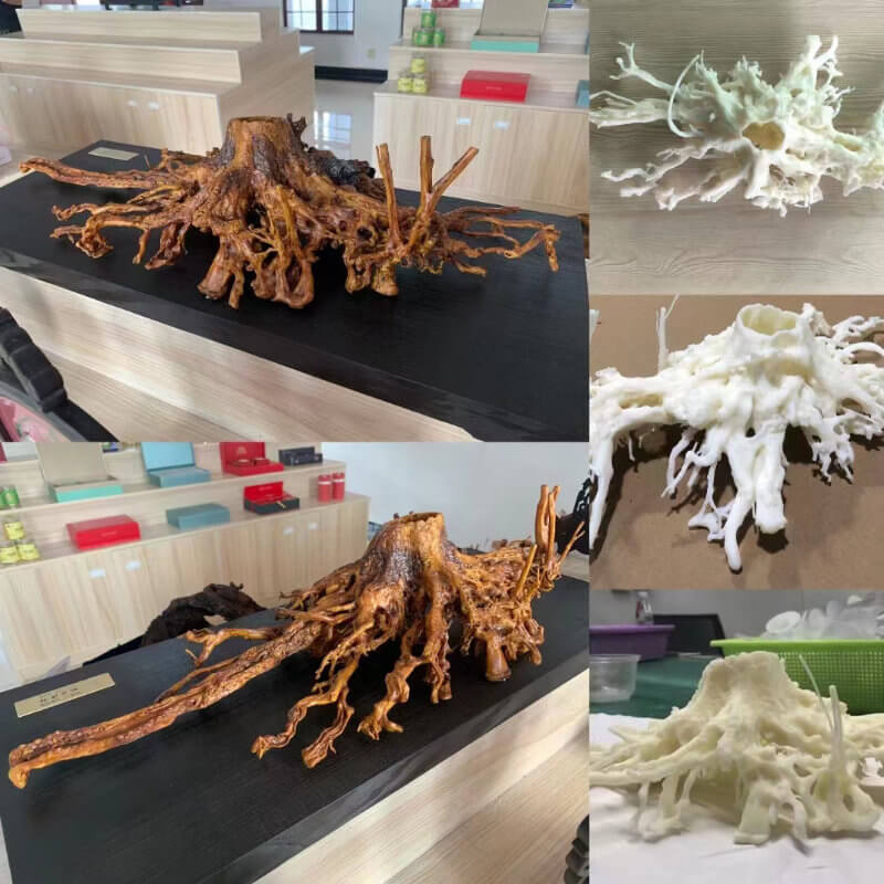 Case 4 3D Printing and Restoration of Root Carving